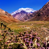 Paisaje icónico de Mendoza, Argentina
